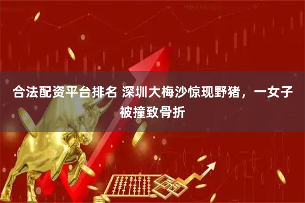 合法配资平台排名 深圳大梅沙惊现野猪，一女子被撞致骨折