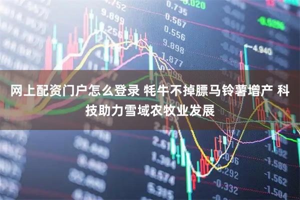网上配资门户怎么登录 牦牛不掉膘马铃薯增产 科技助力雪域农牧业发展