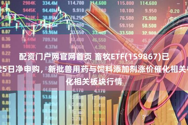配资门户网官网首页 畜牧ETF(159867)已实现连续5日净申购，新批兽用药与饲料添加剂涨价催化相关板块行情